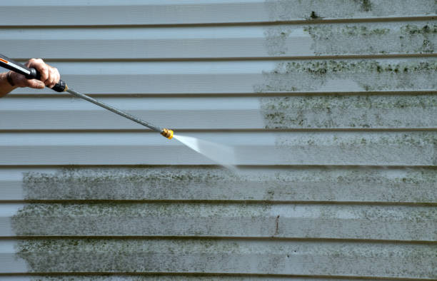 Professional Pressure Washing Services in Whitmore Village, HI